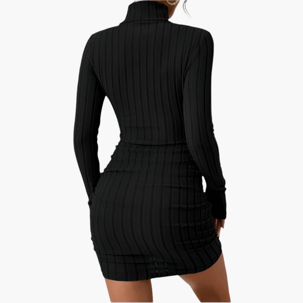 Elegant ribbed turtleneck dress for women – stylish & figure-hugging