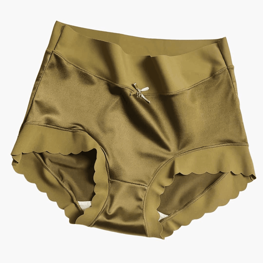 Silk High-Waist Panties - Seamless Luxury for Women Daily