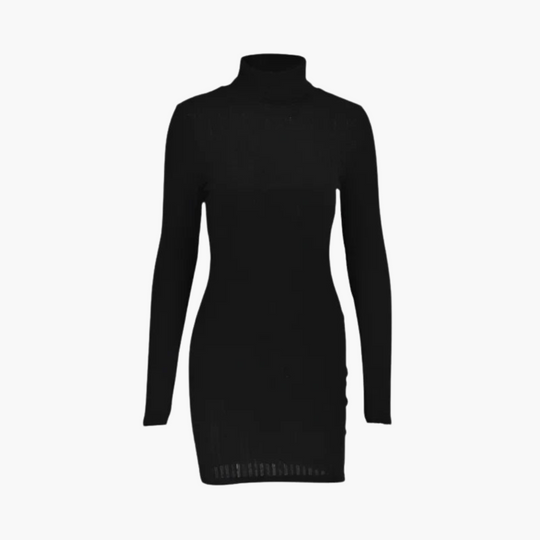Elegant ribbed turtleneck dress for women – stylish & figure-hugging