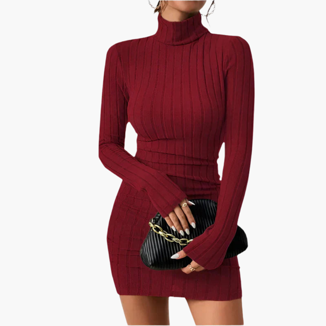 Elegant ribbed turtleneck dress for women – stylish & figure-hugging