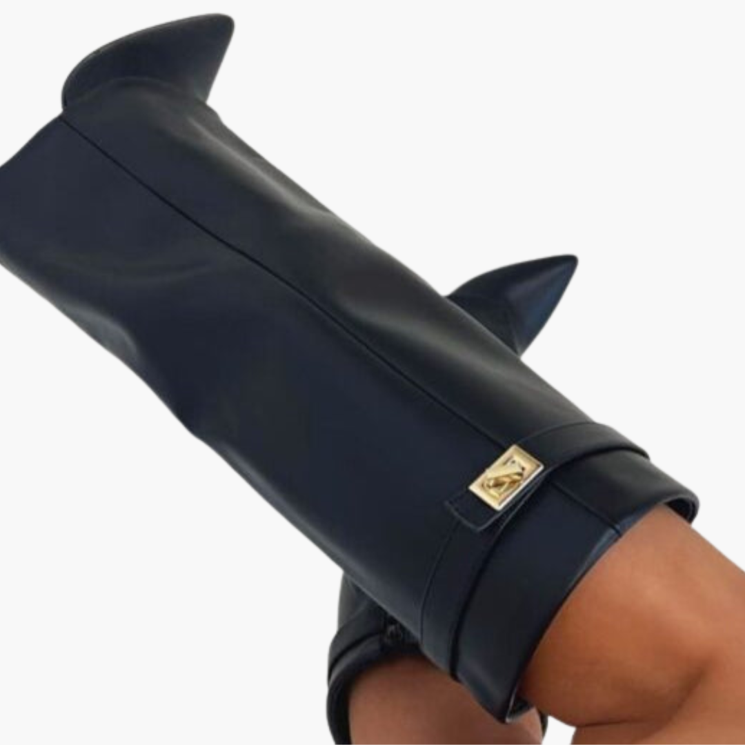 Women’s over-the-knee boots with pointed toe and high heel