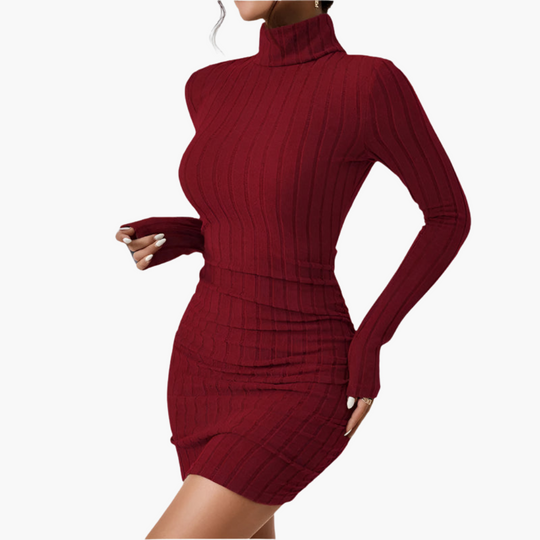Elegant ribbed turtleneck dress for women – stylish & figure-hugging